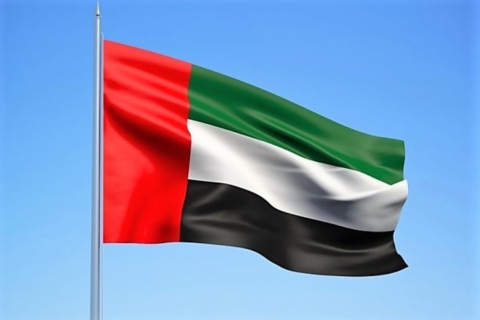 الإمارات تقدم 5.59 مليار دولار مساعدات لليمن منذ 2015